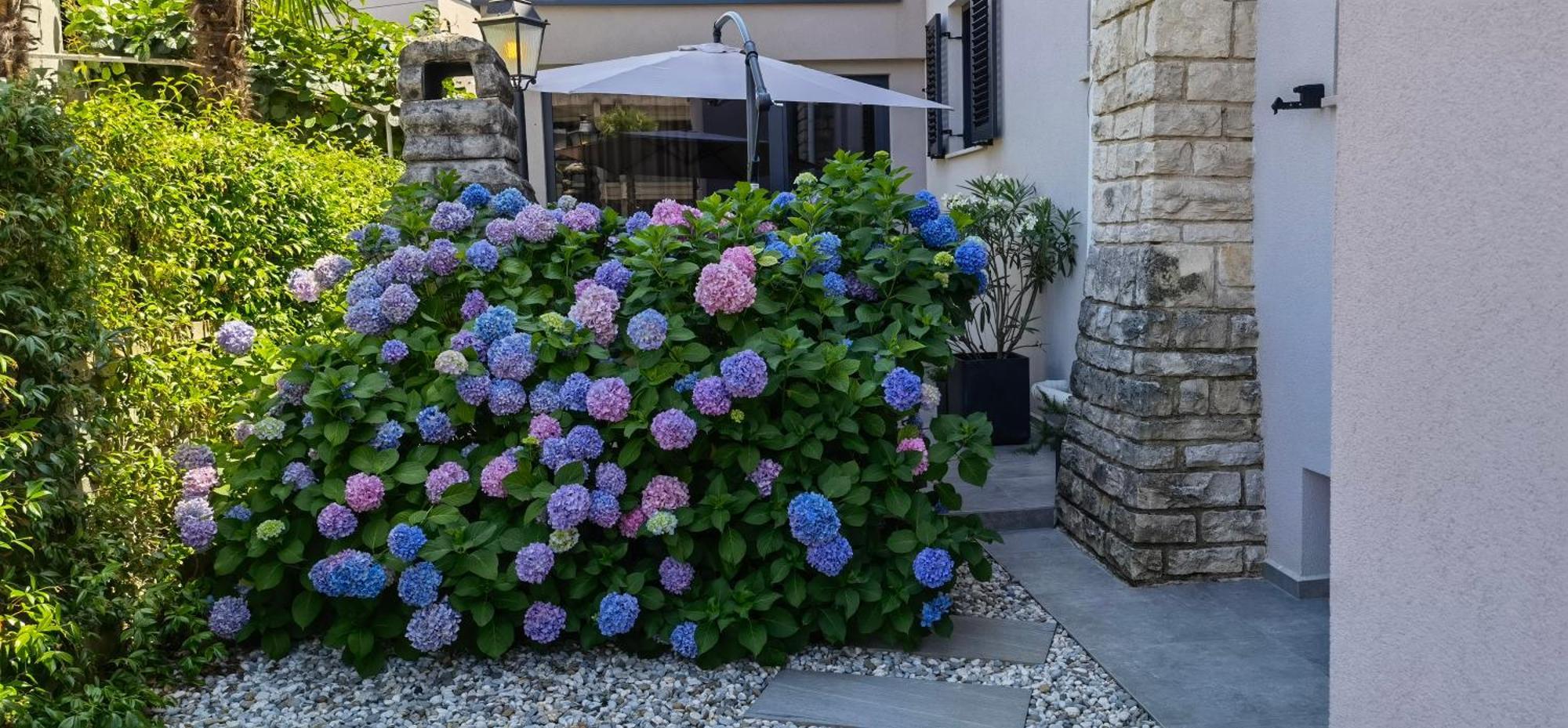 Stay In The Very Heart Of Porec - 50M To The Beach ภายนอก รูปภาพ